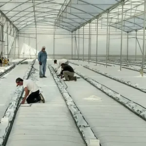 Instalacion de Sistema de Riego en Invernadero. Riegos y Electrificaciones Linares. (1)