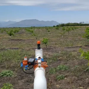 Riego por goteo. Huerta de naranjos. Riegos y Electrificaciones Linares. (1)